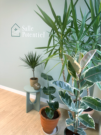 Des plantes dans une salle